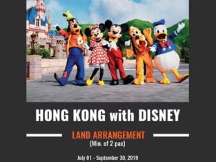 Hong Kong with Disney Land Arrangement