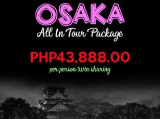 Osaka All-In Tour Package