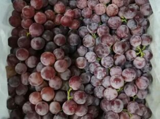 Grapes – REDGLOBE