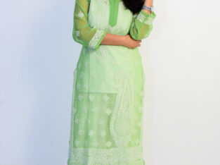 Lucknowi Chikan Light Green and White Georgette Kurti